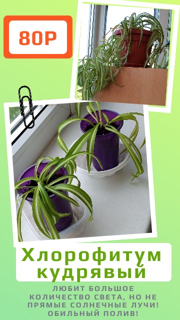   &#129716;&#129716;&#129716;